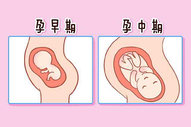 成都专业代孕包性别，成都供卵代怀