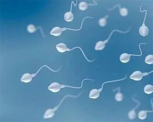 在成都做捐卵试管婴儿要多少钱？成都供卵试管医院的成功率是多少？