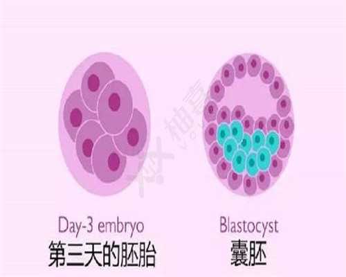 代怀孕了查出甲状腺高对胎儿有影响吗