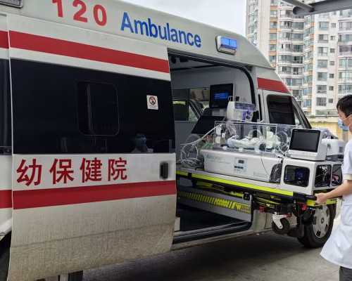 国内供卵公司靠谱不_试管代孕机构靠,移植后每天吃一个西柚有3大好处，利于胚