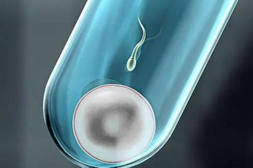 包男孩代生机构,大龄高龄！附详细子宫介绍！