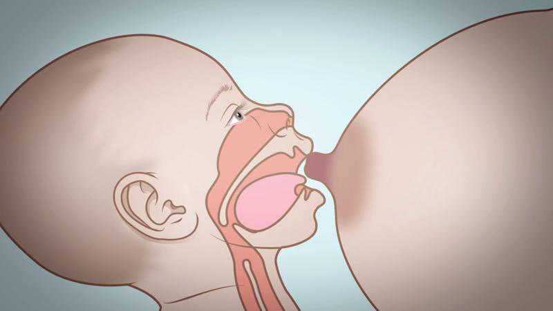 成都供卵最好的医院&成都地下供卵中心,成都做事三代试管婴儿贵吗！详细价格