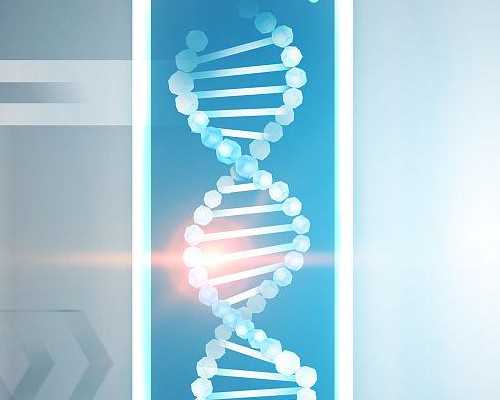 甲减麻麻丨备孕和孕期