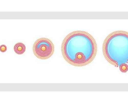 代生包生女儿吗_包生男孩无效退款,孕期易产生的负面情绪有哪些