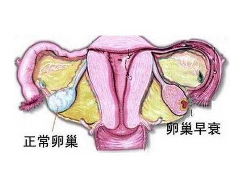 试管代孕三大医院,试管胚胎不着床是什么原因？应该怎么办？