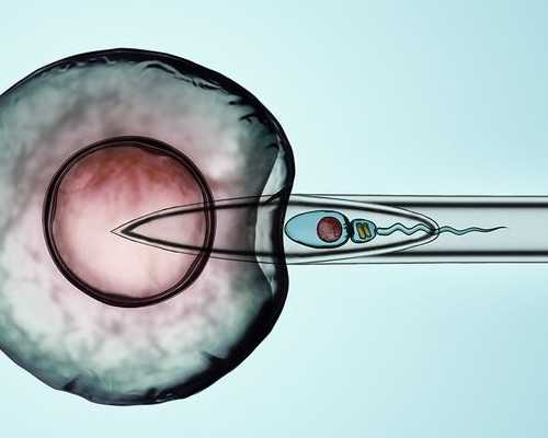 成都助孕价格便宜不,成都想要儿子可以做试管婴儿吗(成都可以试管的医院)