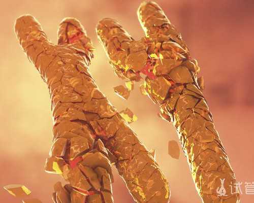 <strong>女性怎么预防输卵管堵塞</strong>