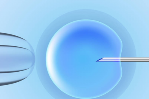 成都市妇幼保健院可以做试管婴儿吗多少钱