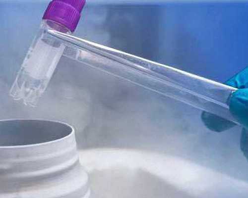 成都包性别费用_成都高薪代妈,成都市生殖科医院最好的医院有哪几家,成都生殖