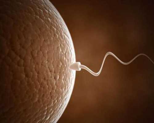 成都助孕妇服务网站,成都供卵试管婴儿私立医院有哪些