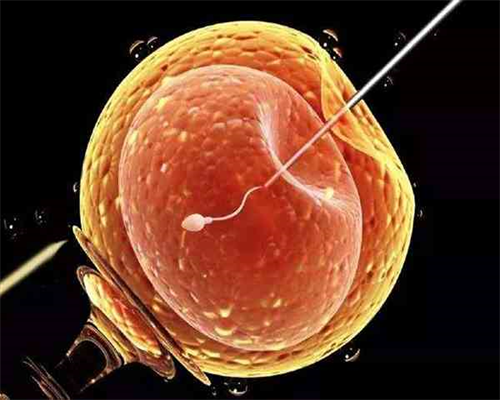 月经周期 关于大姨妈女人必知的这些事