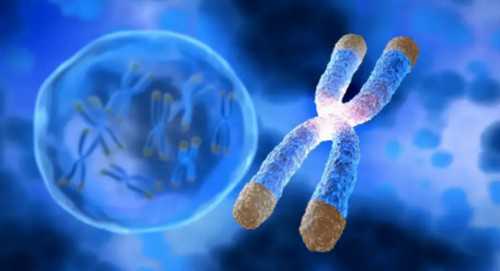 别纠结成都供精试管要多少钱了，2026找对地方是关键