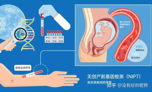 南京三代试管包生儿子价格明细？与这3个因素有关
