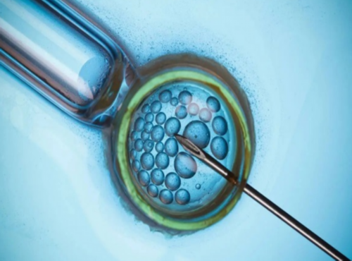 成都供卵试管价钱表,成都做供精人工授精的流程是怎么样的